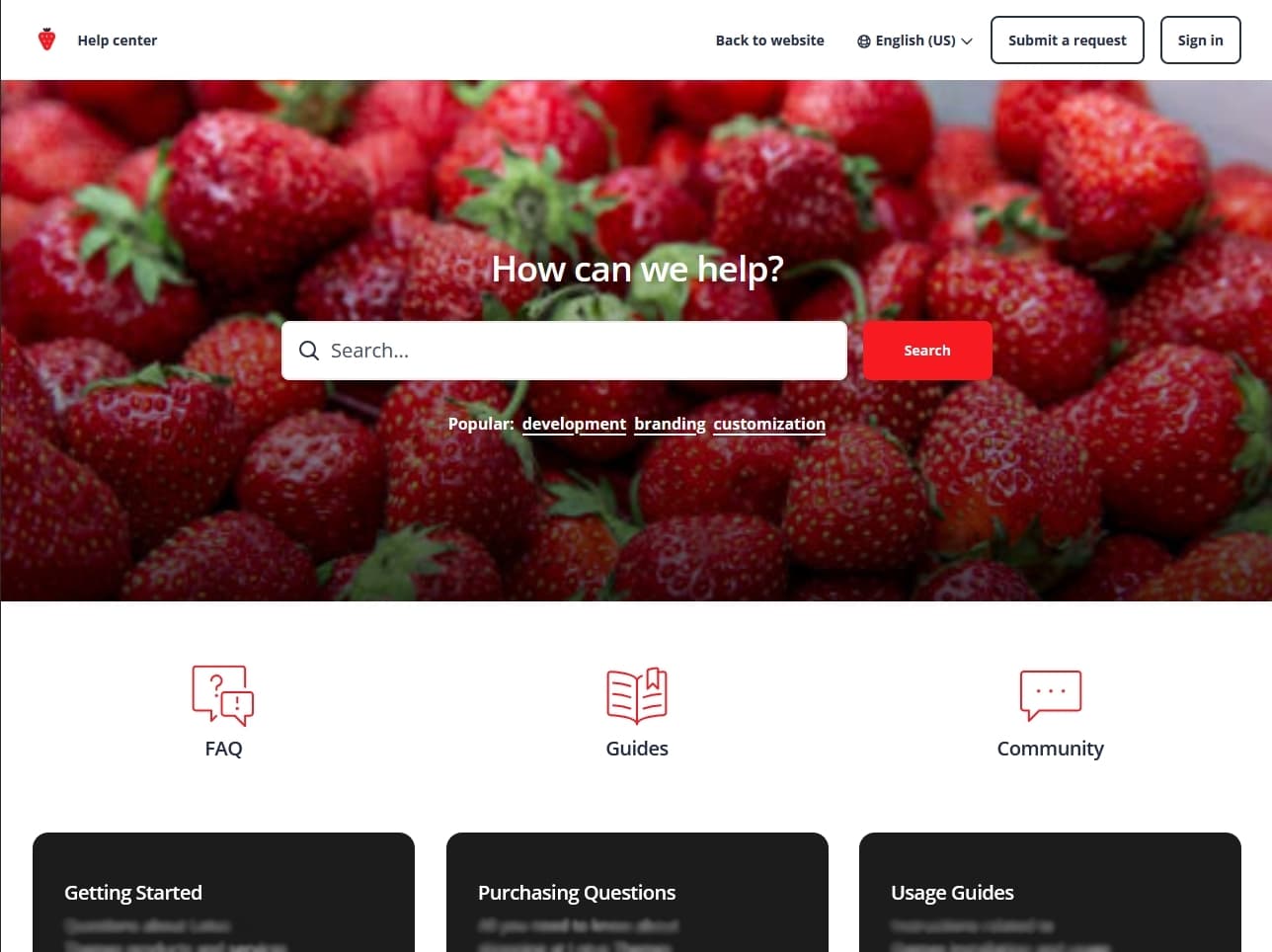Example of a custom Zendesk theme